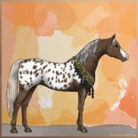 Horse Color:Silver Smoky Black Appaloosa 