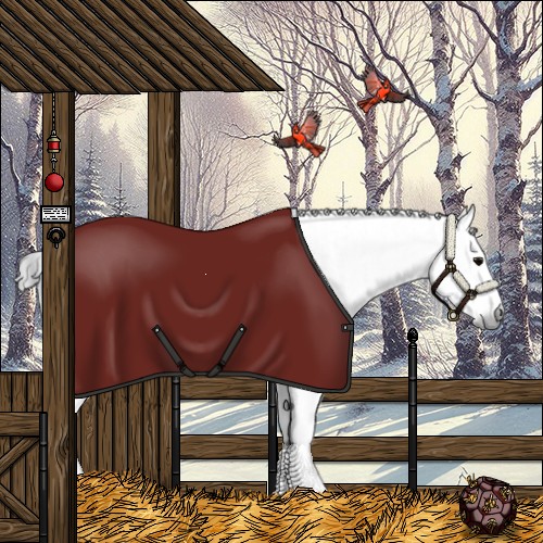 Horse Color:Gray White Spotted Black and Gray White Spotted Black Splash