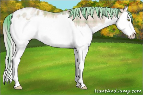Horse Color:Plaid  Gold Champagne Roan Mushroom Sabino Splash Blanket 