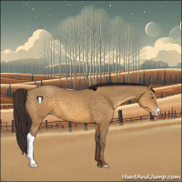 Horse Color:Sable Cream Champagne 