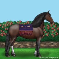 Horse Color:Brown 
