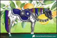 Horse Color:Painted Black Sabino Appaloosa 