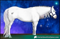 Horse Color:Nacre White Spotted Gold Cream Champagne Ice Pearl Snowcap 
