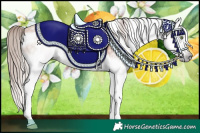 Horse Color:Gray White Spotted Gold Champagne Splash 
