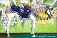Horse Color:Silver Sable Champagne Ice Splash Rabicano 
