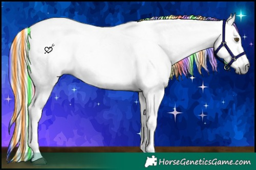 Horse Color:Gray Painted White Spotted Chocolate Palomino Ice Tobiano Appaloosa