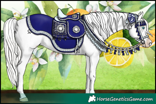 Horse Color:Silver Perlino Dun Appaloosa