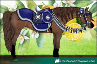 Horse Color:Void Liver Chestnut Sabino Tobiano 