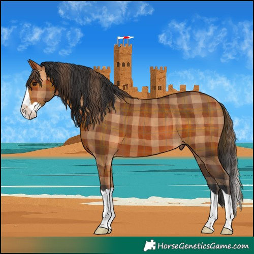 Horse Color:Plaid  Bay Splash 