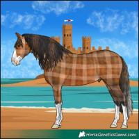 Horse Color:Plaid  Bay Splash 