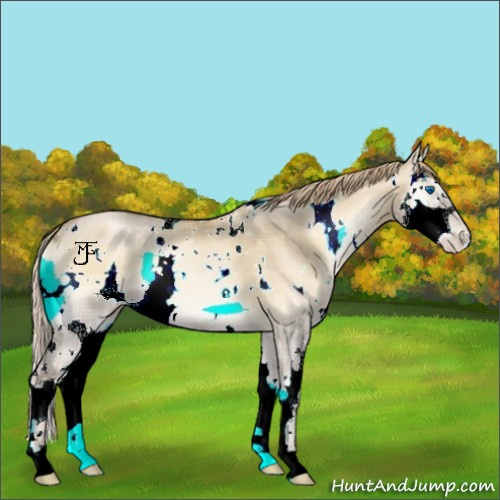 Horse Color:Plaid  White Spotted Red Dun Roan Pearl Onyx Splash 