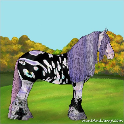Horse Color:ERROR: UNKNOWN ANOMALY
