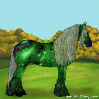 Horse Color:ERROR: UNKNOWN ANOMALY