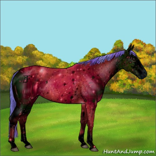 Horse Color:ERROR: UNKNOWN ANOMALY