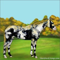 Horse Color:Watercolor White Spotted Liver Red Onyx Ice Splash 