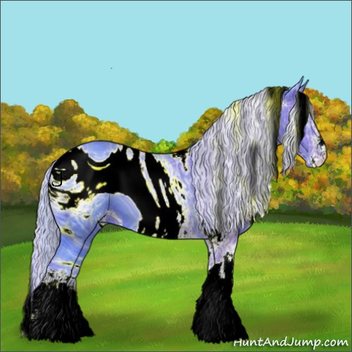 Horse Color:ERROR: UNKNOWN ANOMALY