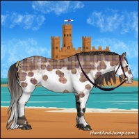 Horse Color:Plaid  White Spotted Bay Splash 