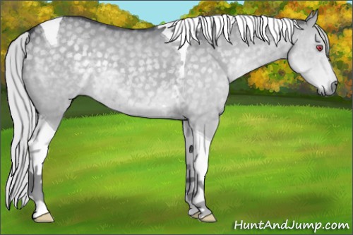 Horse Color:Silver Grullo Chinchilla Tobiano 