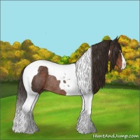 Horse Color:Liver Chestnut Tobiano Rabicano 