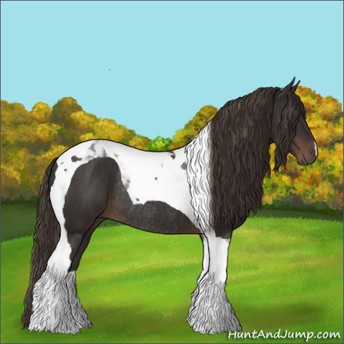 Horse Color:Liver Chestnut Tobiano Rabicano