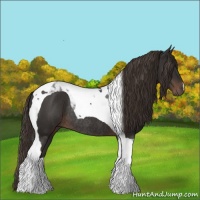 Horse Color:Liver Chestnut Tobiano Rabicano