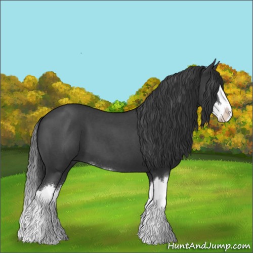 Horse Color:Blue Roan Splash 