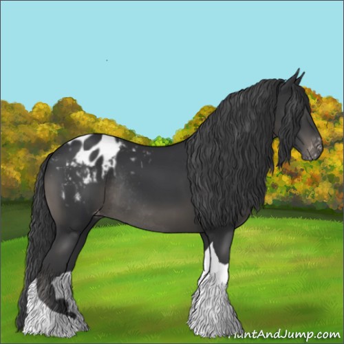 Horse Color:Black Tobiano Appaloosa Rabicano 