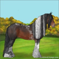 Horse Color:Brown Tobiano