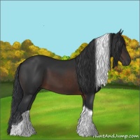 Horse Color:Brown Tobiano