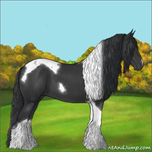 Horse Color:Black Tobiano 