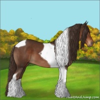 Horse Color:Liver Chestnut Tobiano 