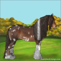 Horse Color:White Spotted Liver Chestnut Tobiano 