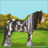Horse Color:White Spotted Liver Chestnut Sabino 