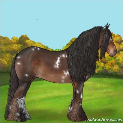 Horse Color:White Spotted Liver Chestnut 