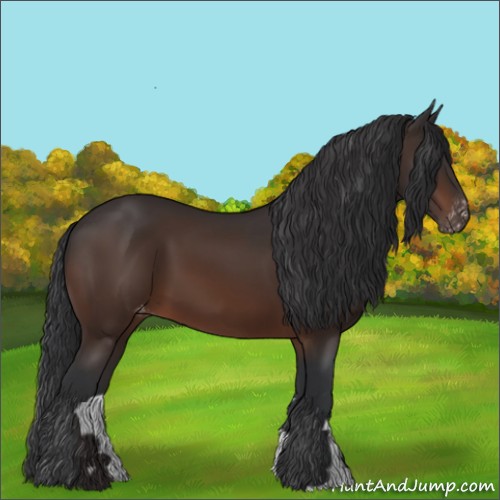 Horse Color:Brown Appaloosa 