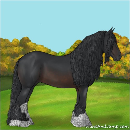 Horse Color:Brown 