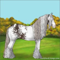 Horse Color:White Spotted Silver Brown 