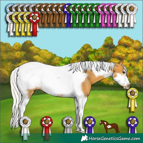 Horse Color:Silver Buckskin Tobiano Frame 