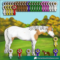 Horse Color:Silver Buckskin Tobiano Frame
