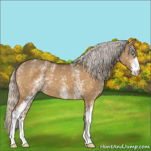 Horse Color:White Spotted Silver Buckskin Dun Mushroom 