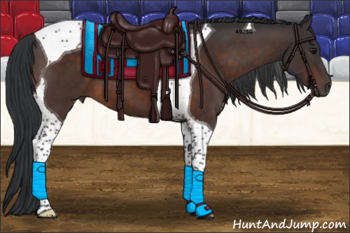 Horse Color:Brown Tobiano