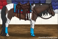 Horse Color:Brown Tobiano