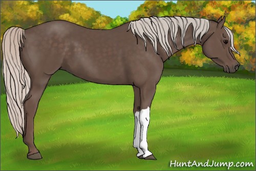 Horse Color:Silver Black 