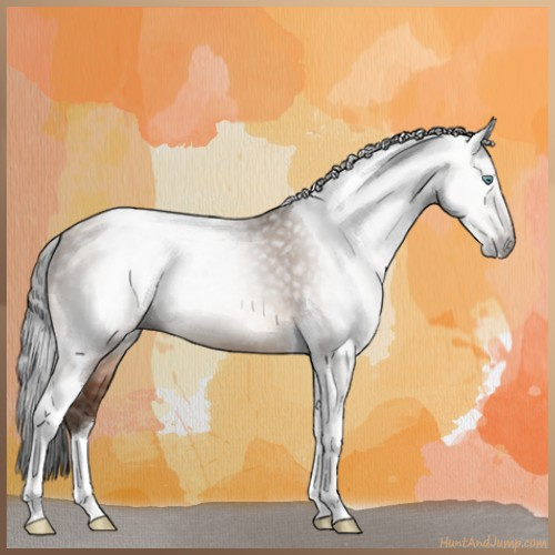 Horse Color:Gray Sable Champagne Tobiano 