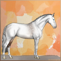 Horse Color:Gray Sable Champagne Tobiano