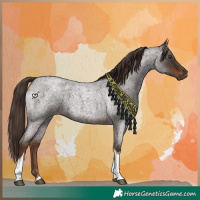Horse Color:Liver Red Roan Tobiano 