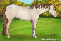 Horse Color:Liver Red Dun Pearl 
