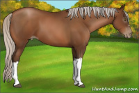 Horse Color:Gray Silver Brown Pearl 