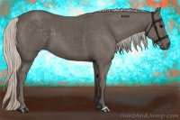 Horse Color:Silver Black 