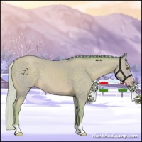 Horse Color:Watercolor Silver Sable Champagne 